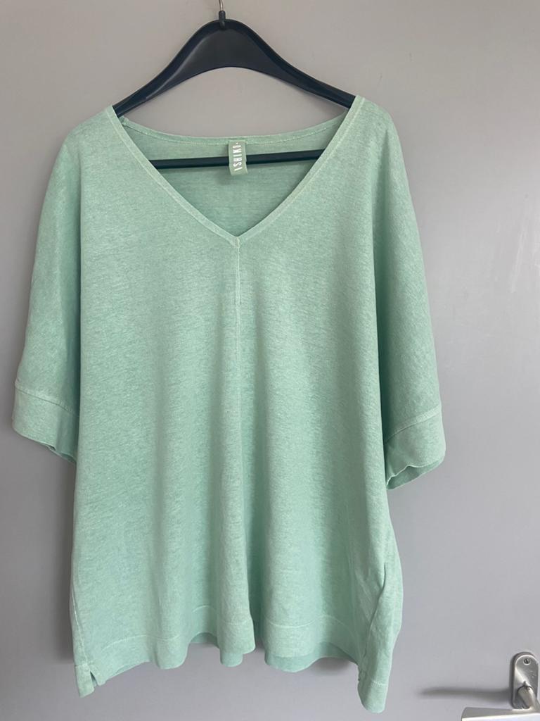 Ischiko shirt (3), Kleding | Dames, Maat 46/48 (XL) of groter, Ophalen of Verzenden, Zo goed als nieuw, Korte mouw