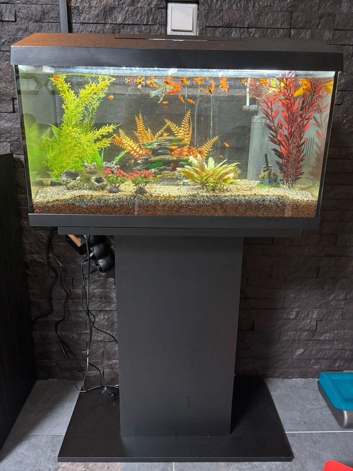 60 liter Juwel Aquarium met tropische vissen., Ophalen of Verzenden, Zo goed als nieuw, Leeg aquarium