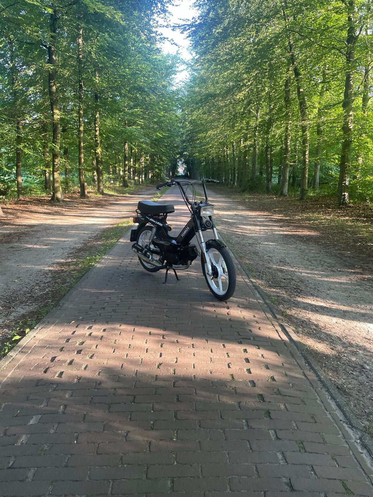 NETTE Tomos A52 (2009) gele plaat, Ophalen, Maximaal 45 km/u, Zo goed als nieuw, Standard