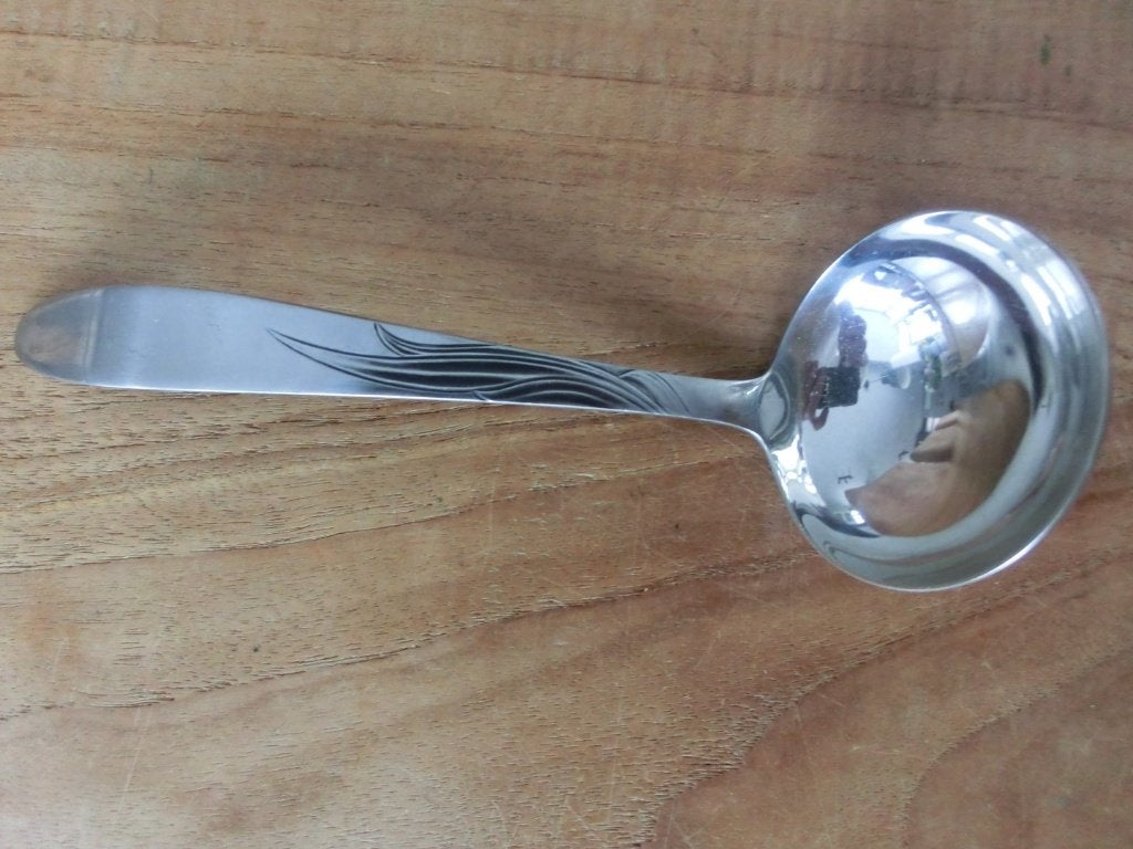 Gero Zilmeta jus lepel, Ophalen of Verzenden, Nieuw, Rvs of Chroom