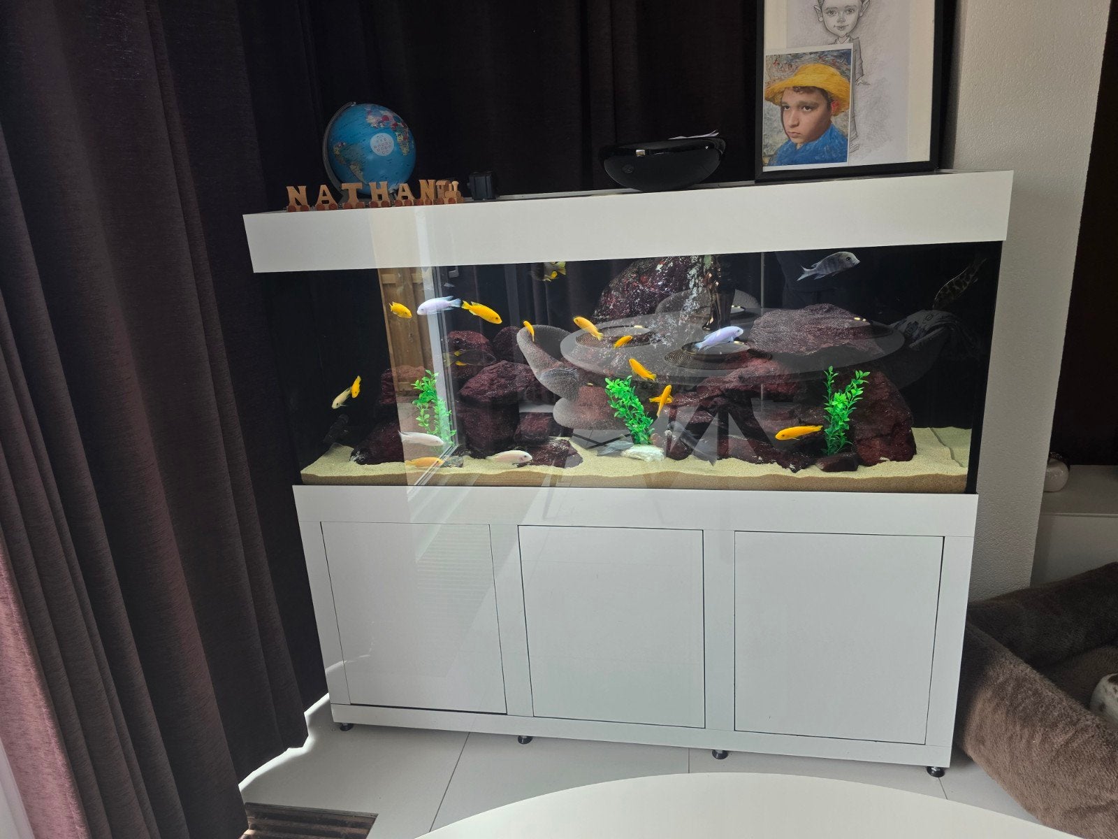 Prachtig Aqualife aquarium (160 x 50 x 142 cm), Dieren en Toebehoren, Ophalen, Inclusief vissen, Gebruikt, Gevuld zoetwateraquarium