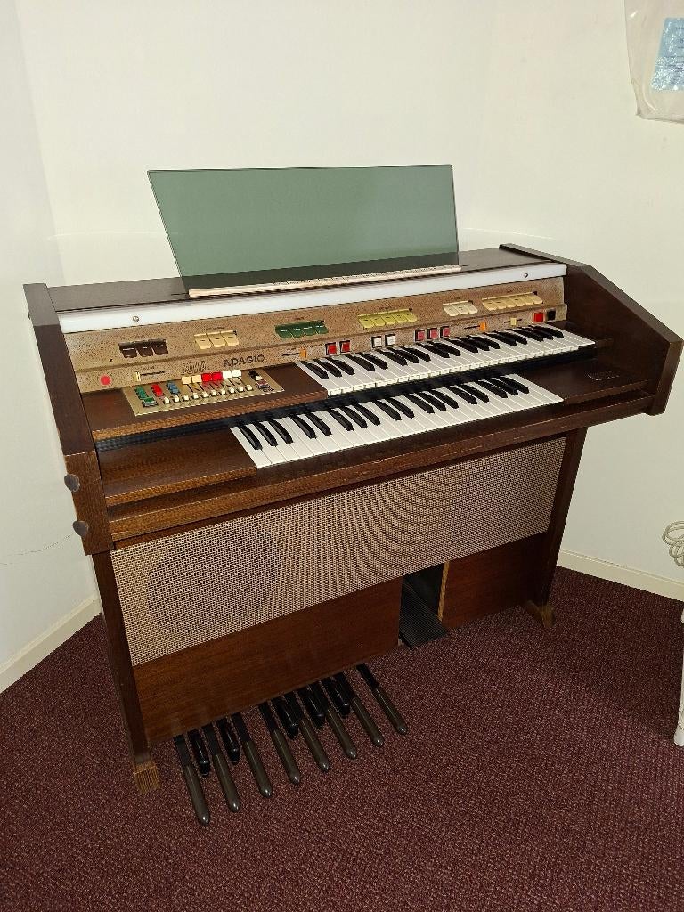 Ri-Ha orgel, Muziek en Instrumenten, Orgels, Ophalen, Gebruikt, 2 klavieren, Orgel