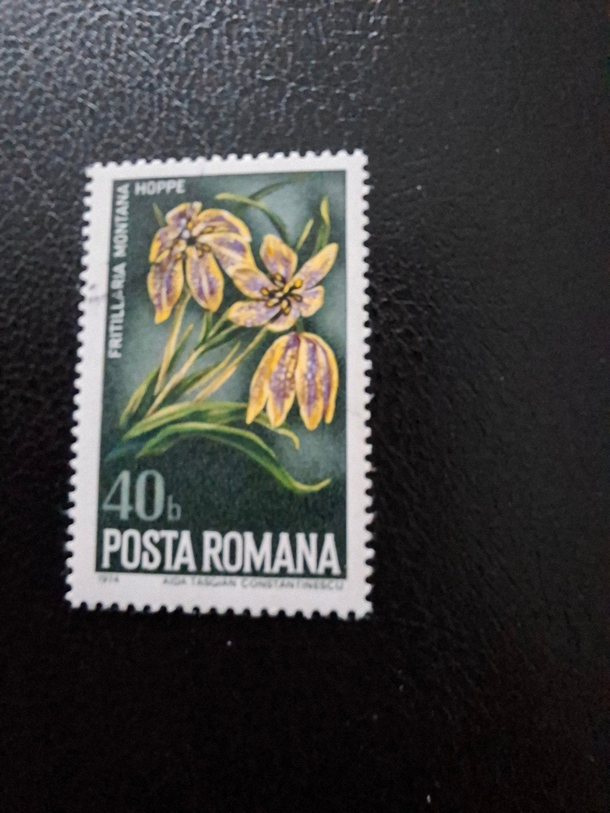 Bloemen.  Roemenië, Ophalen of Verzenden, Dier of Natuur