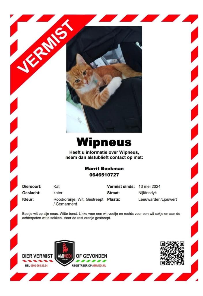 Al 2 jaar vermist: Wipneus, Kat