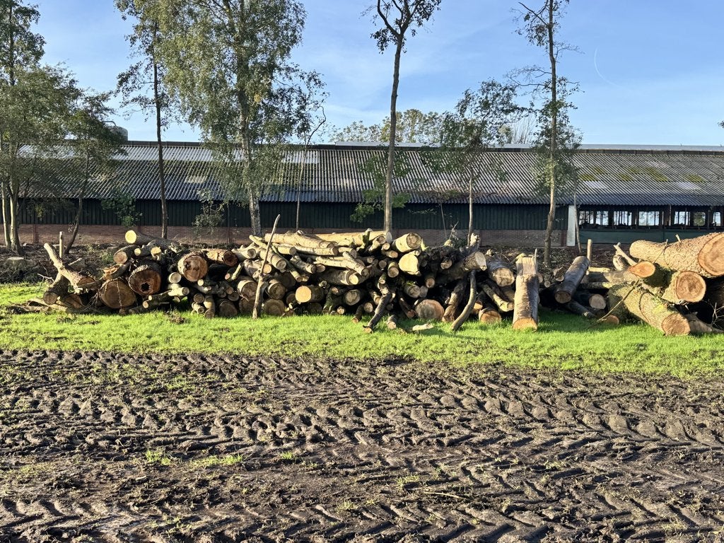 Mooie partij haardhout, Tuin en Terras, 6 m³ of meer, Ophalen of Verzenden, Essenhout, Stammen