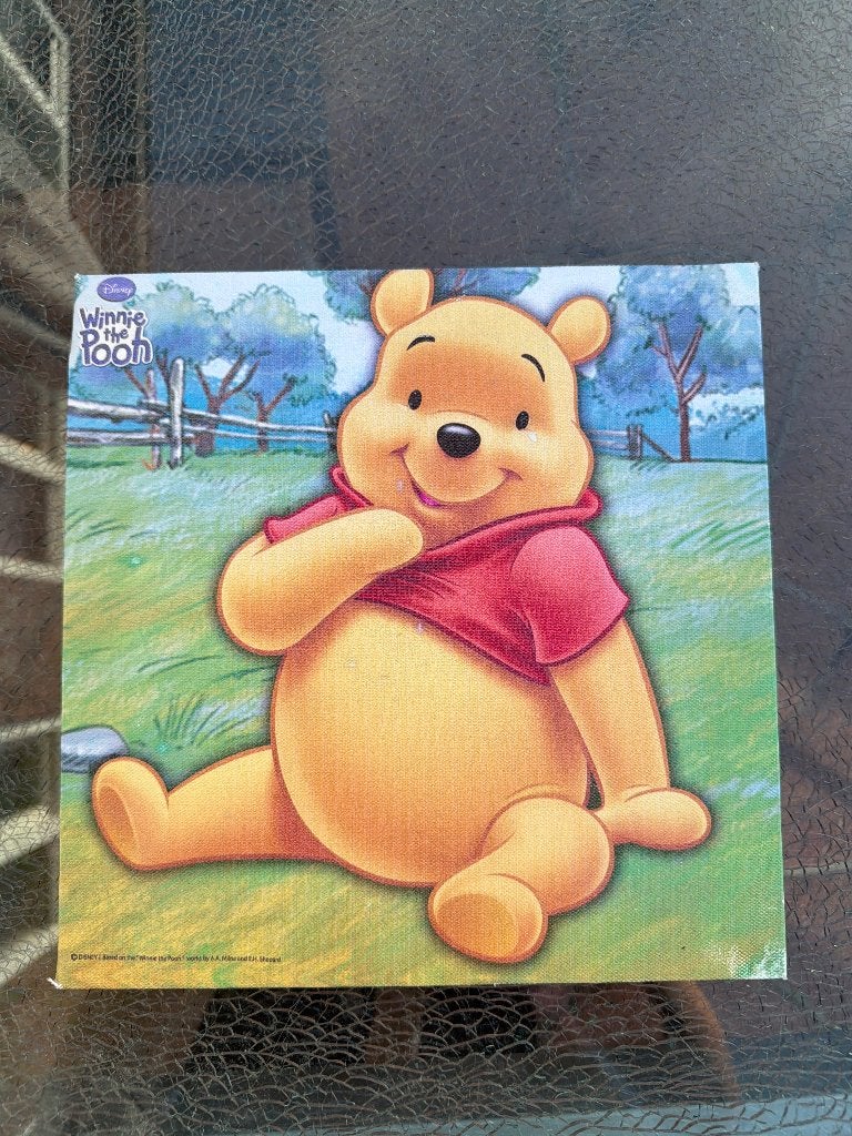 Winnie de Poeh Canvas Schilderij, Ophalen, Winnie de Poeh of vrienden, Gebruikt, Overige typen