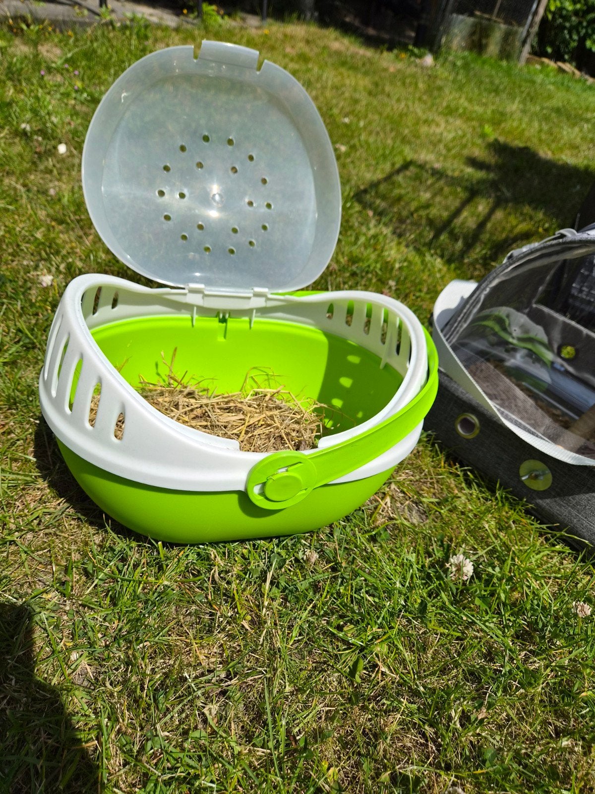 Mooie grote vogel kooi en 3 kleine transport kooitjes, Dieren en Toebehoren, Vogels | Hokken en Kooien, Ophalen, Metaal, Vogelkooi