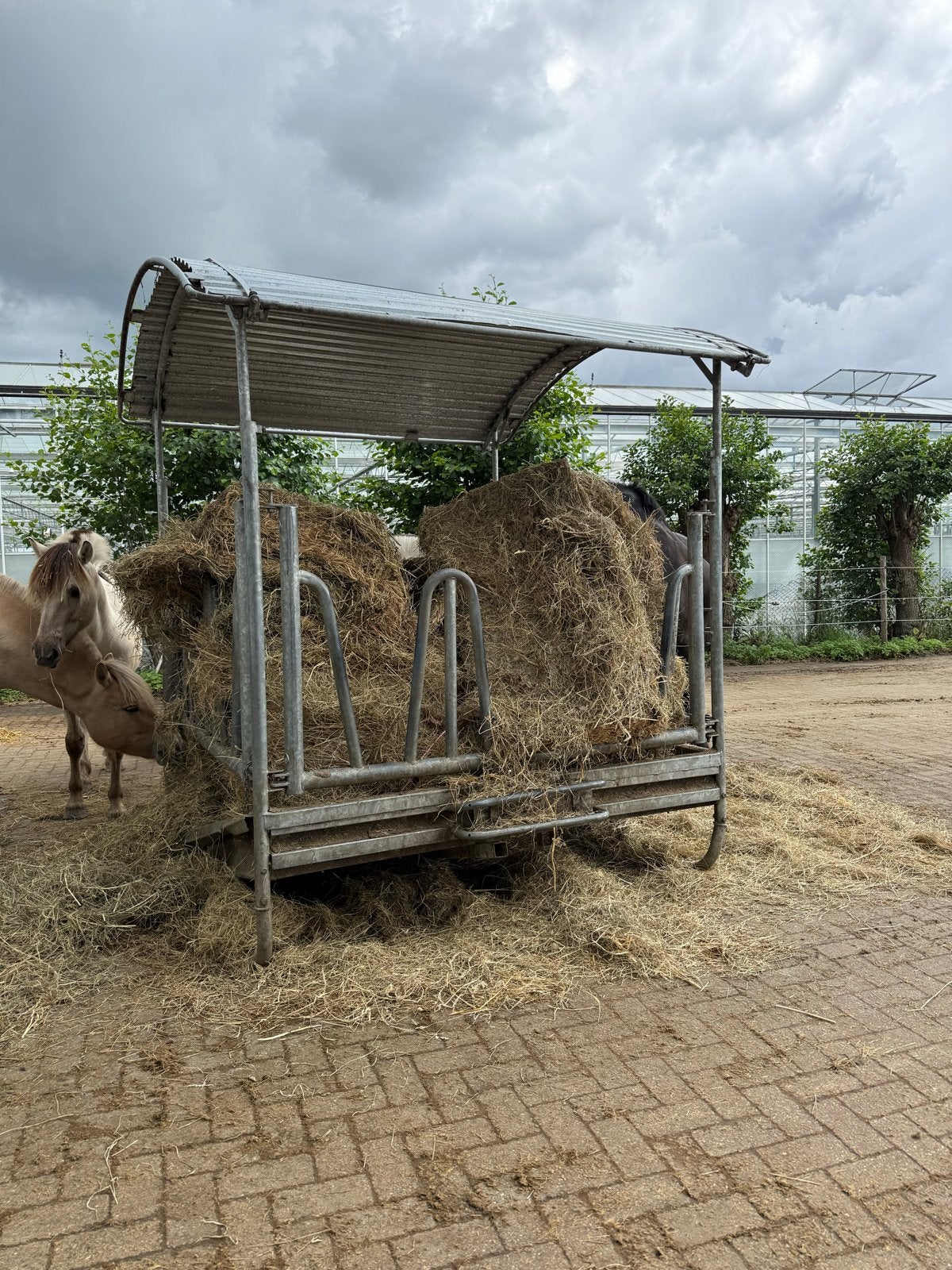 Hooiruif, Dieren en Toebehoren, Toebehoren, 4 paarden of pony's of meer