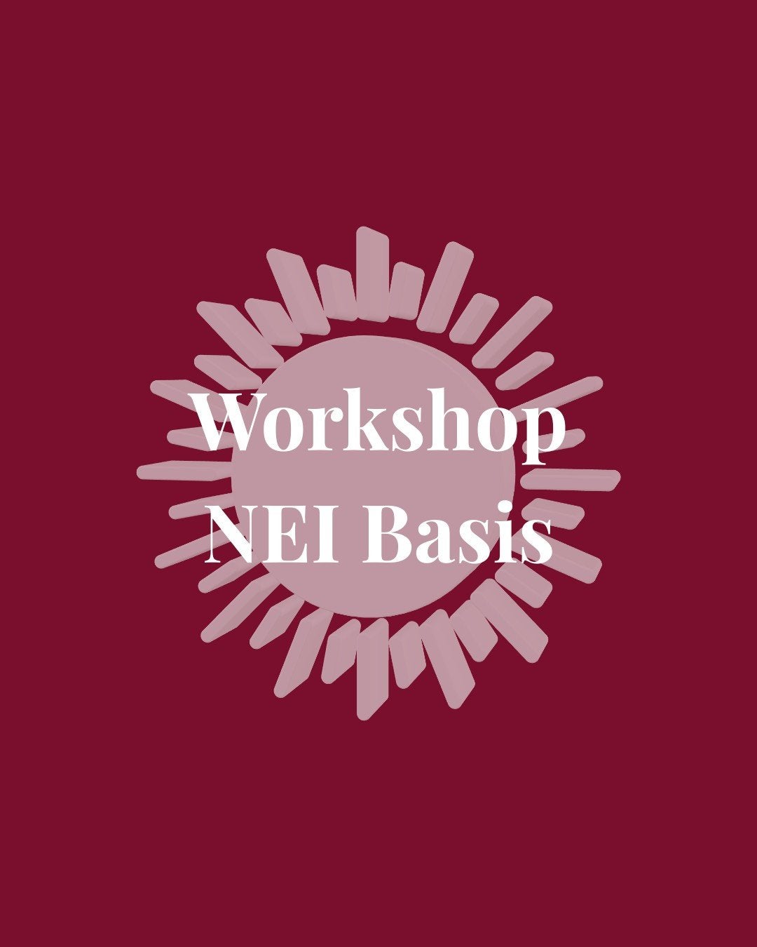 NEI basis workshop | Leer werken met NEI en de biotensor, Eén persoon