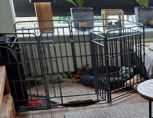 Hondenren/ puppy ren 80 cm.hoog, Ophalen, Zo goed als nieuw, 110 cm of meer, 65 tot 100 cm