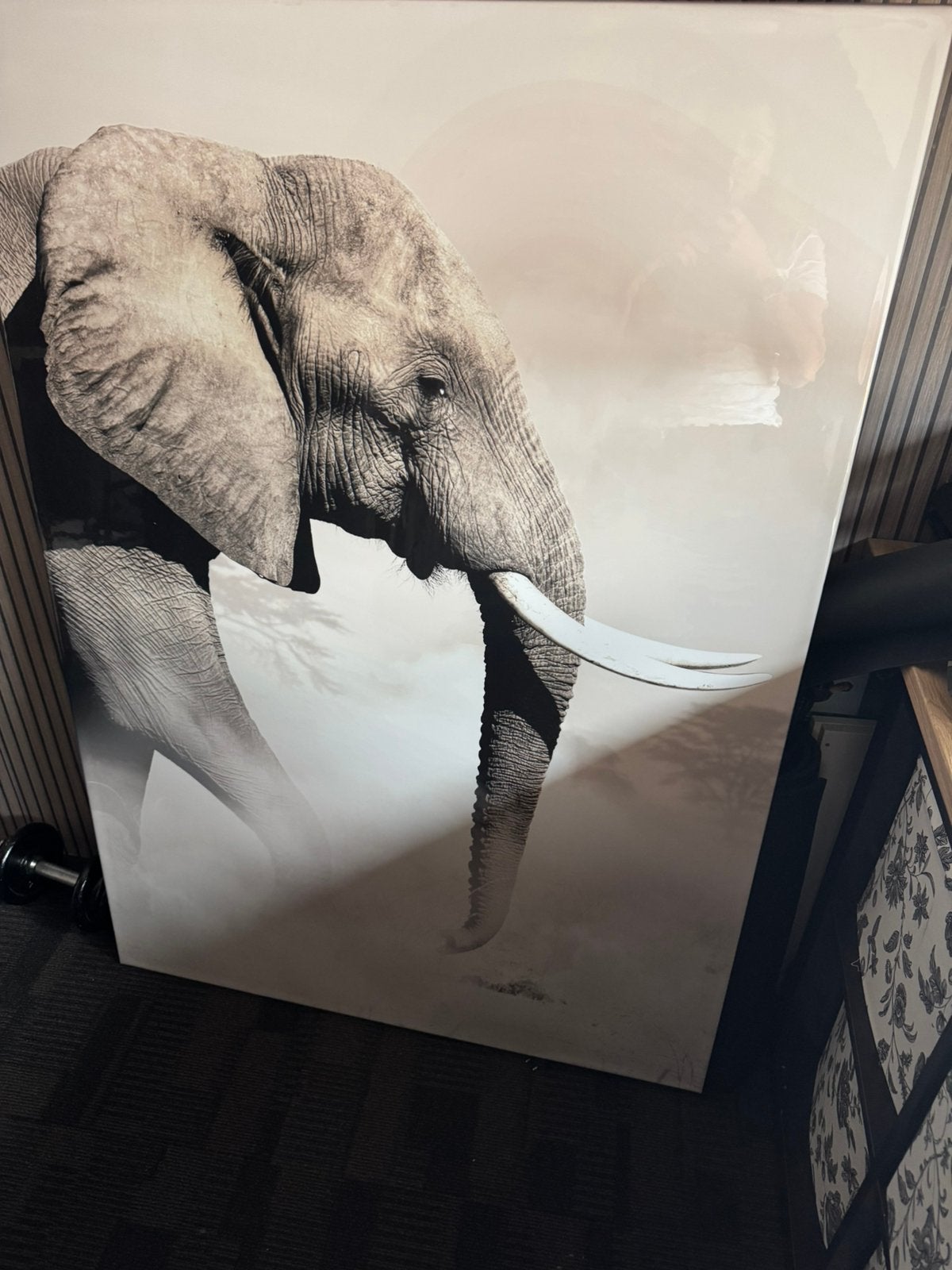 Olifant, Ophalen, Zo goed als nieuw, Schilderij