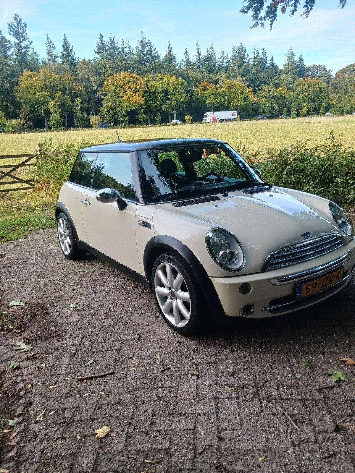 MINI MINI COOPER 1.6 PEPPER GOED O.HDN EN NETJES PANODAK., Auto's, Voorwielaandrijving, Zwart, 4 cilinders, 1600 cc