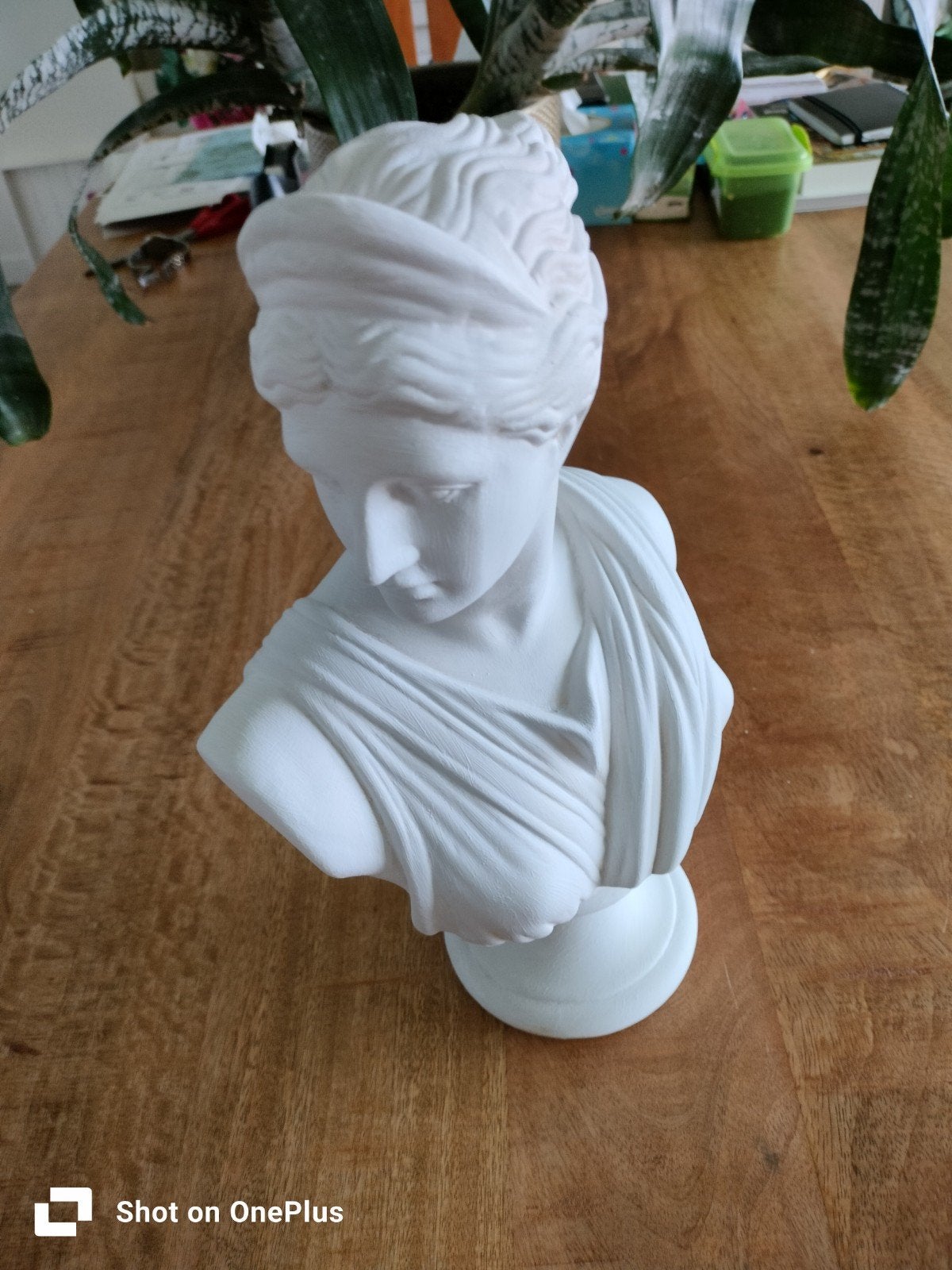 Bustes van goden Apollo en Artemis, Ophalen, Groep mensen, Buste, 20 - 50 cm