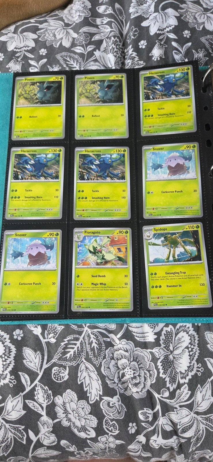 Paldea evolved, Ophalen of Verzenden, Zo goed als nieuw, Meerdere kaarten