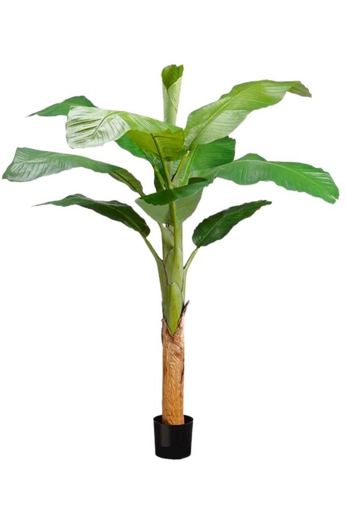 Kunstplant | Bananenplant | 2,1 meter | Dumpprijs, Ophalen, Binnen, Groen, Kunstplant