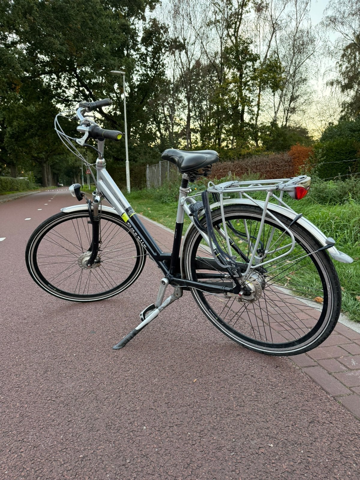 Gazelle Orange