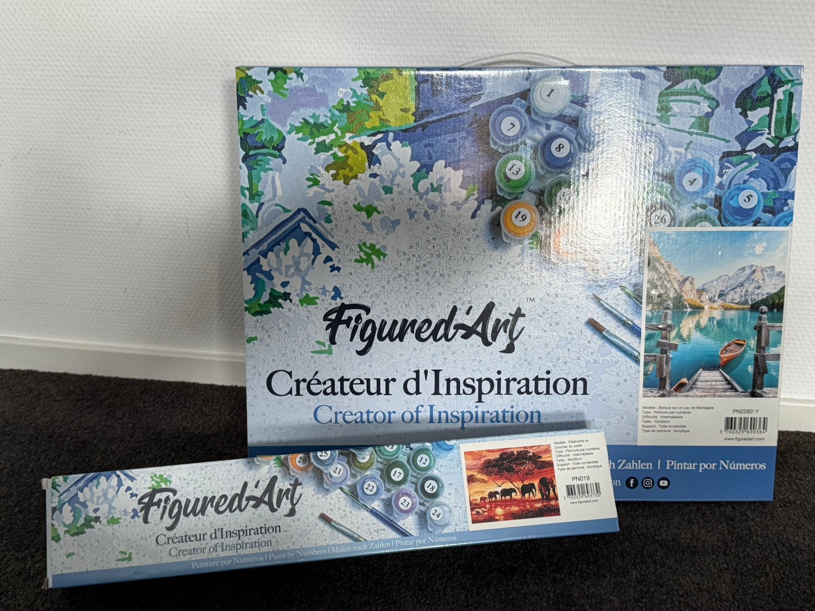 Schilderen op nummer van Figured’Art, Ophalen of Verzenden, Nieuw, Schilderen op nummer