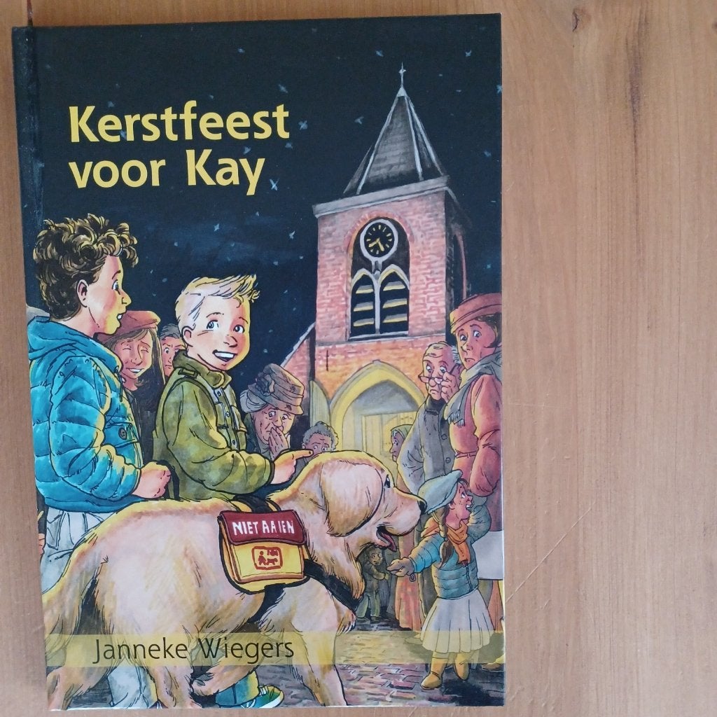 Kerstfeest voor Kay, Boeken, Gelezen, Fictie algemeen, Ophalen of Verzenden, Janneke Wiegers