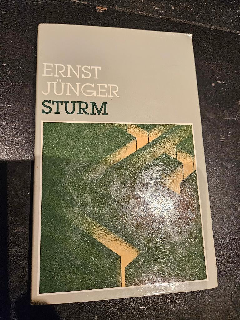 Ernst Junger - Sturm, Ophalen of Verzenden, Gelezen, Sport