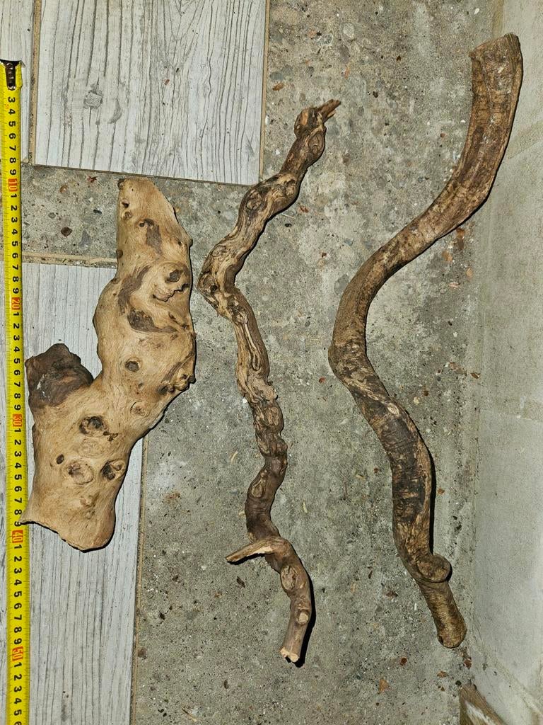 Druivenstronk terrarium reptielen, Ophalen