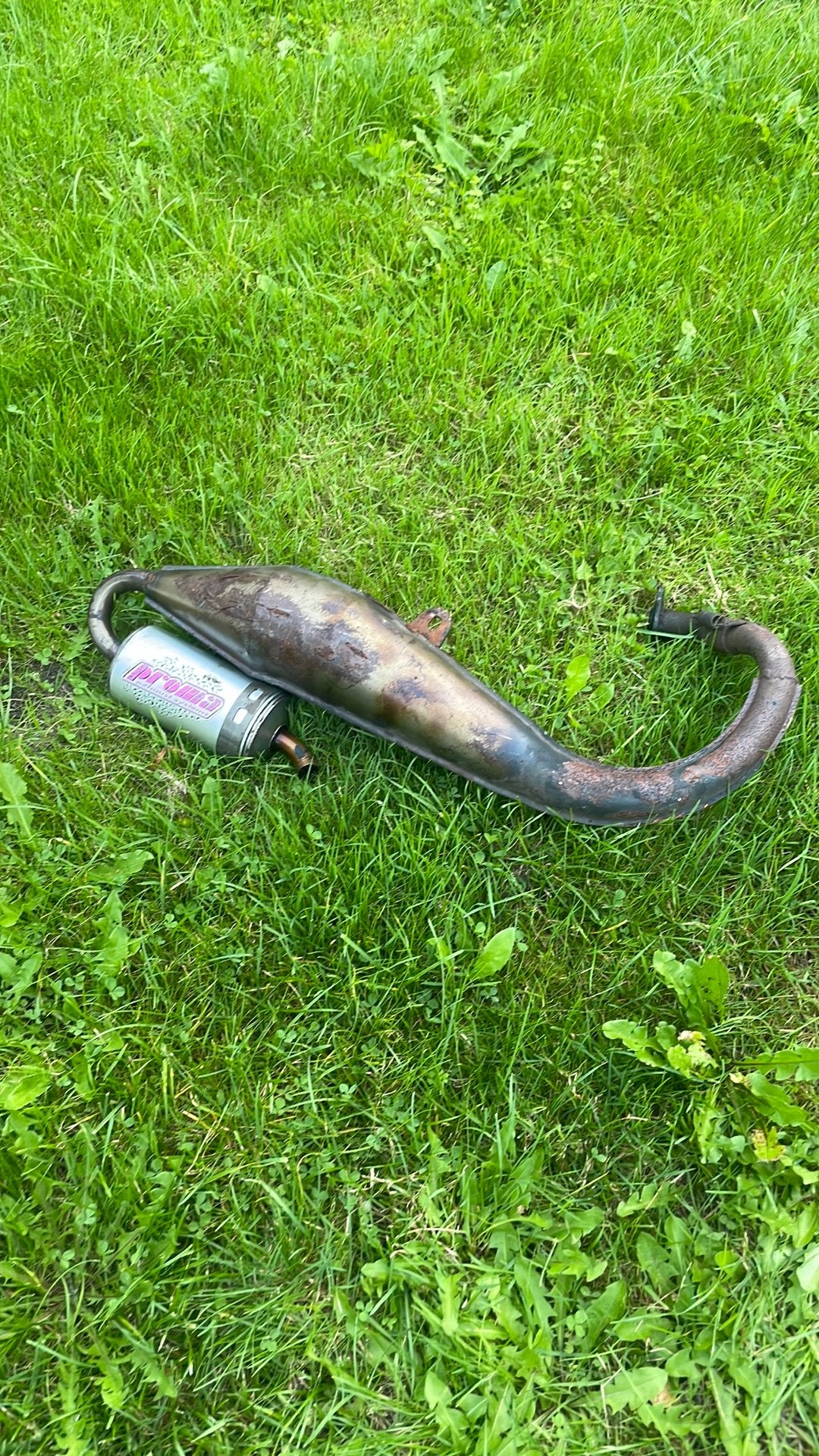 Zelzame proma terugloop uitlaat, Ophalen, Zo goed als nieuw, Uitlaat