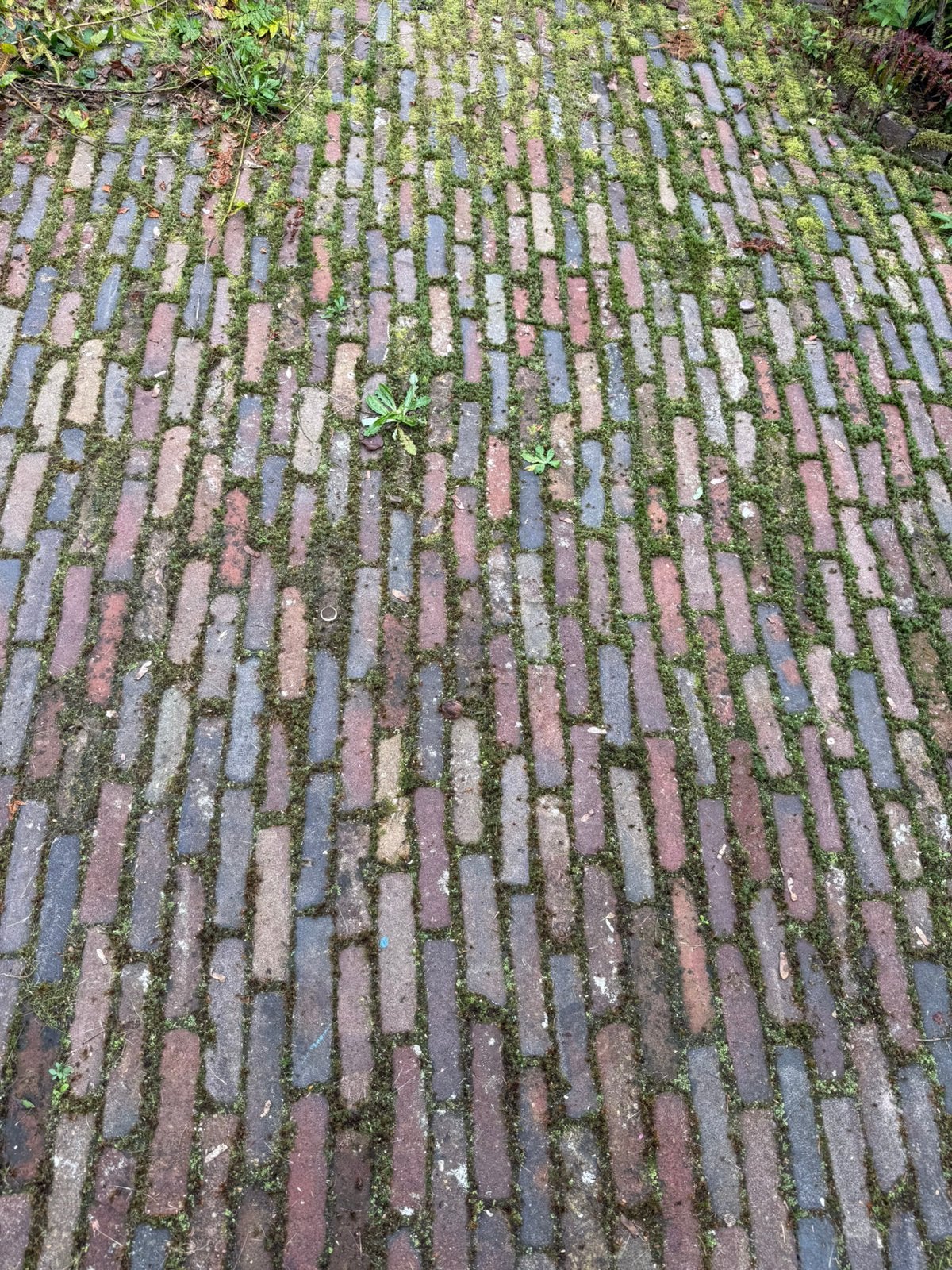 Oud gebakken 5 duimers/waaltjes - 150 m2, Ophalen, Gebruikt, Keramiek, Klinkers