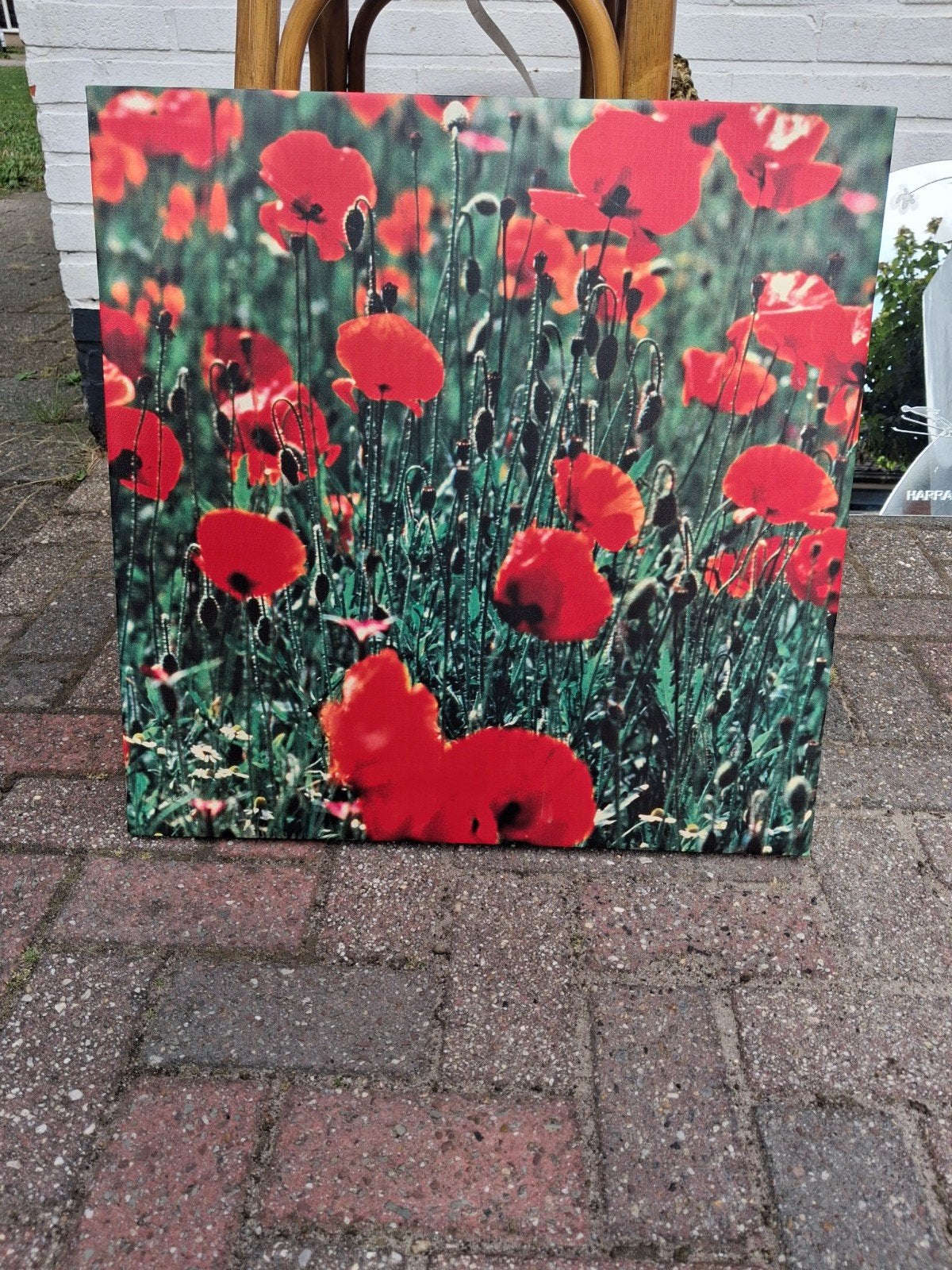Canvas Schilderij Klaprozen Veld - Levendige Rode Bloemen, Gebruikt, Ophalen of Verzenden, Schilderij, 75 tot 100 cm