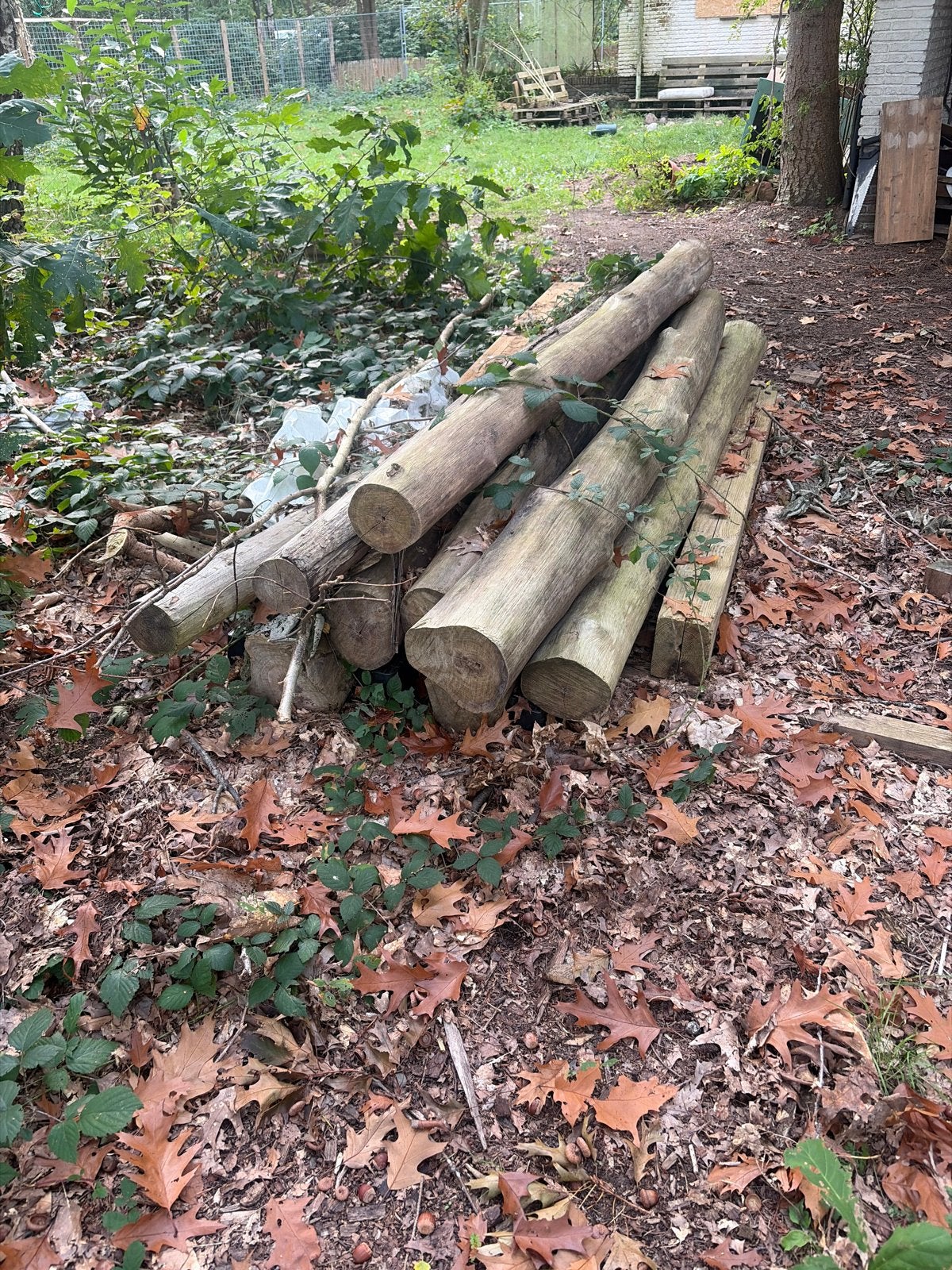 Gebruikte houten palen - Diverse lengtes en diktes, Ophalen, Gebruikt, Balk, Overige houtsoorten