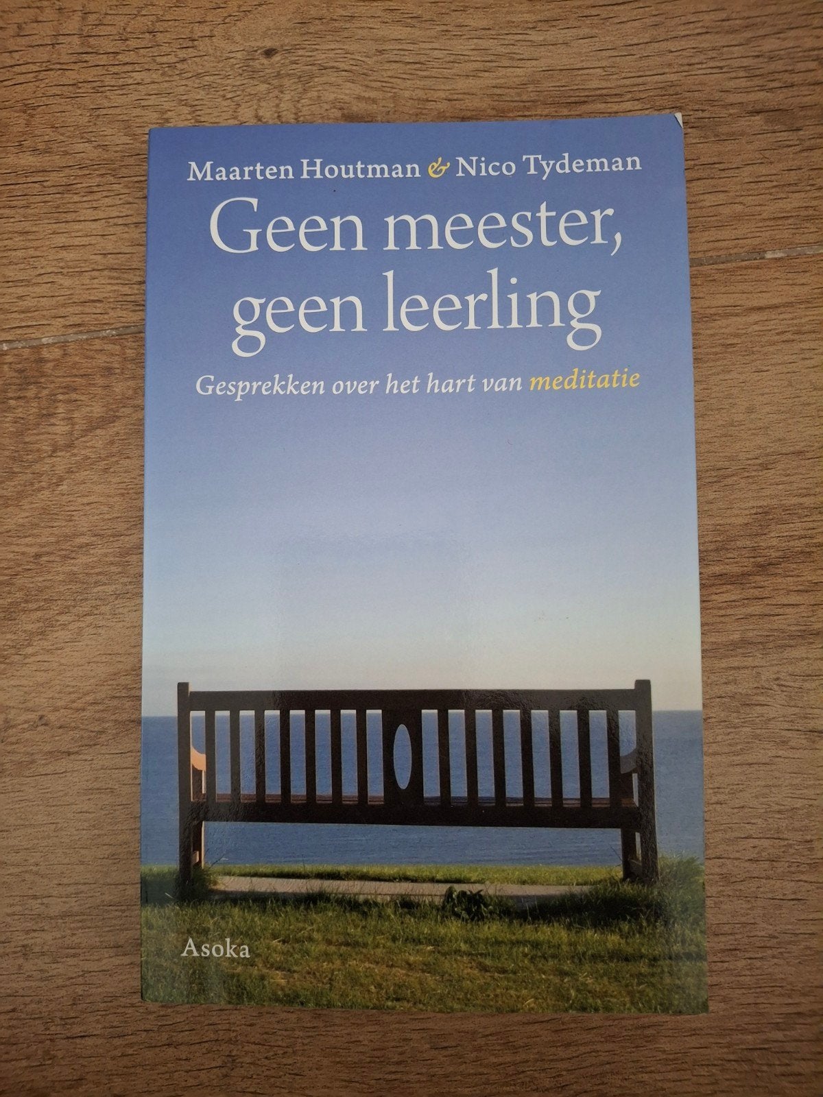 Maarten Houtman - Geen meester, geen leerling, Ophalen of Verzenden, Zo goed als nieuw, Maarten Houtman; Nico Tydeman
