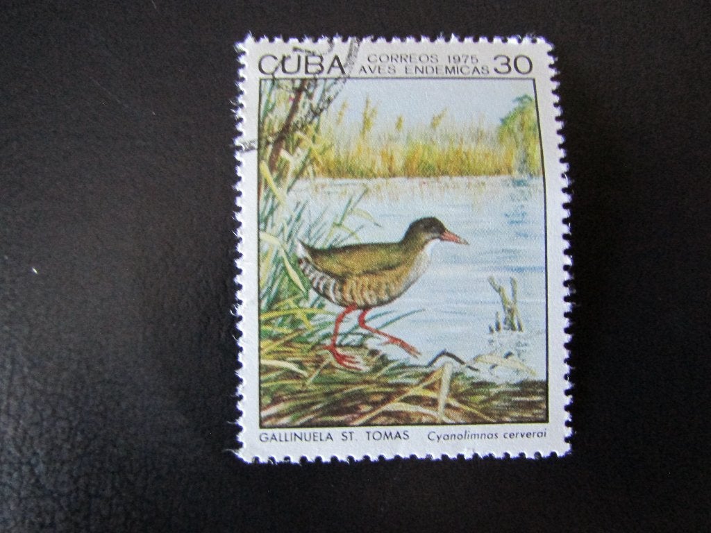 Postzegel Vogel: Zapata-Ral uit Cuba, Ophalen of Verzenden, Gestempeld, Dier of Natuur