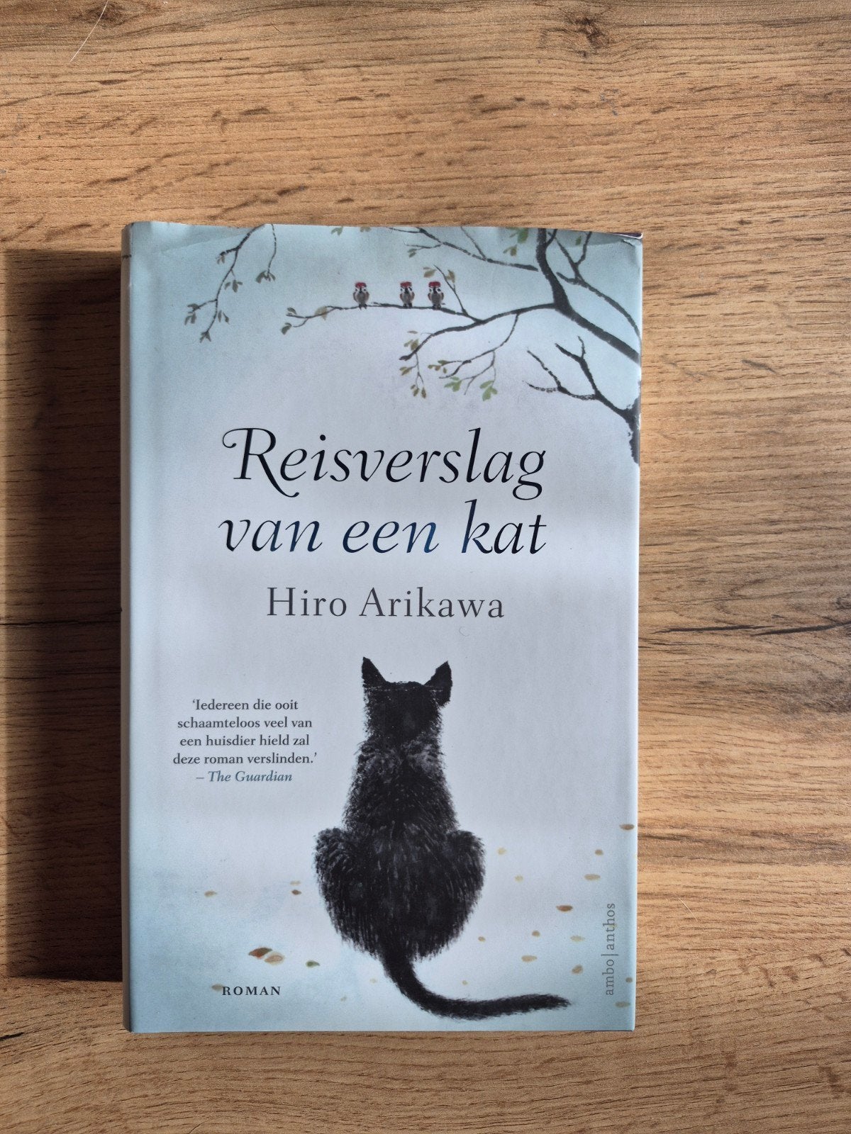 Reisverslag van een kat, Boeken, Romans, Zo goed als nieuw, Wereld overig, Ophalen of Verzenden