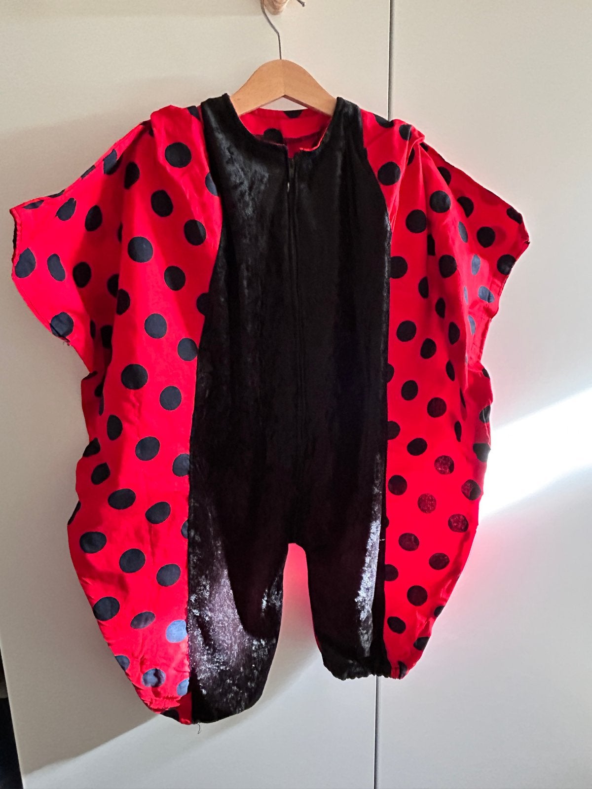 Lieveheersbeestje kostuum voor kinderen - 3 tot 6 jaar, Ophalen of Verzenden, Gebruikt, 110 t/m 116, Jongen of Meisje