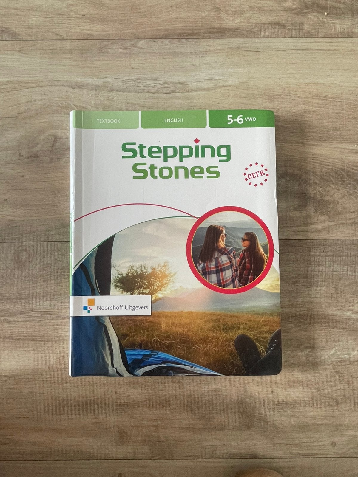 Stepping Stones 6e ed 5/6 vwo Textbook, Boeken, Ophalen of Verzenden, Zo goed als nieuw, VWO, Nederlands
