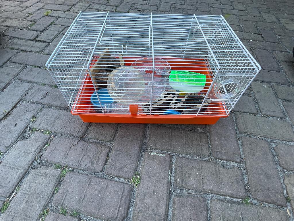 Hamsterkooi en cavia/ konijnenhok, Kooi, Gebruikt, Minder dan 75 cm, Hamster