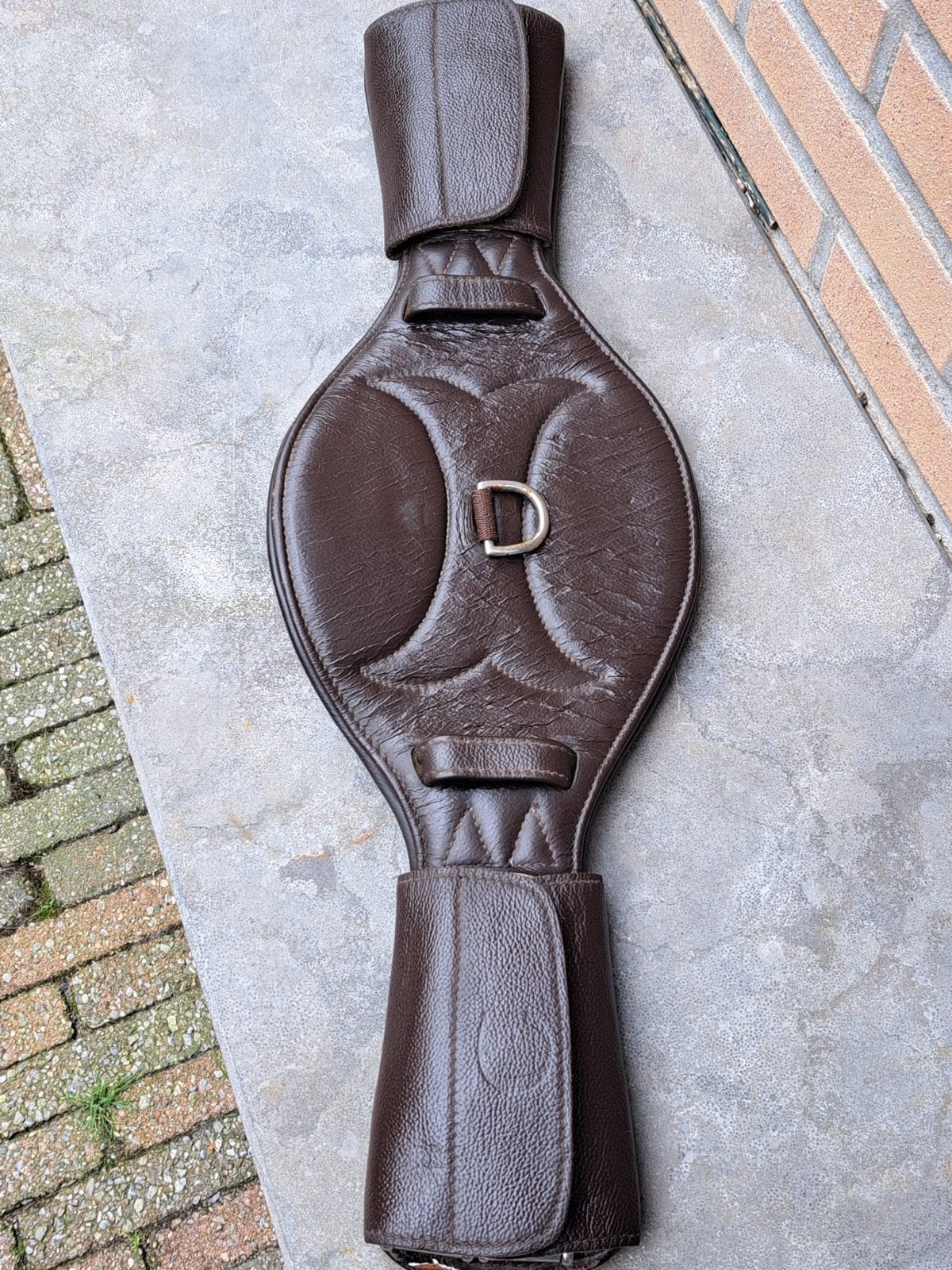 Singel, Ophalen of Verzenden, Zo goed als nieuw, Dressuur