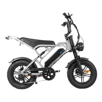 Fatbike V20 mini, V20 pro, in doos of gemonteerd geleverd!, Fietsen en Brommers, Ophalen of Verzenden, Zo goed als nieuw, Minder dan 16 inch
