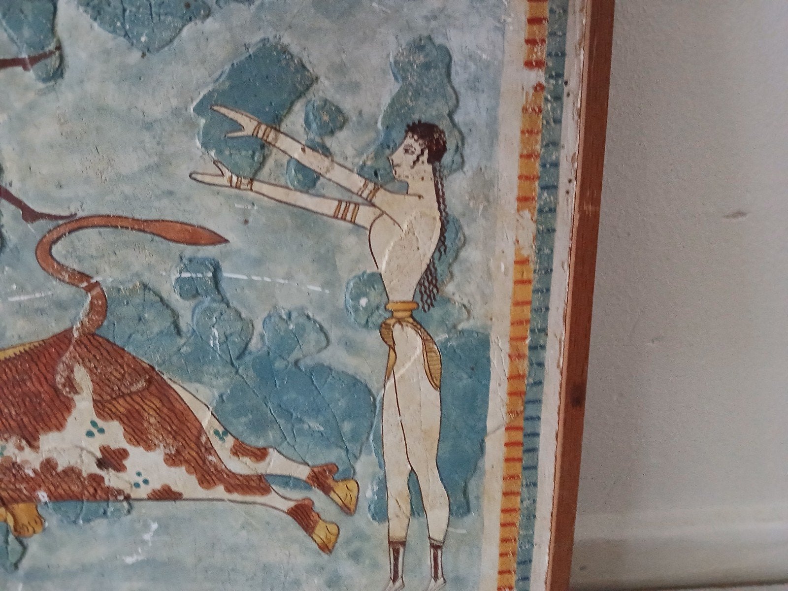 Foto 4 van fresco stierspringer
