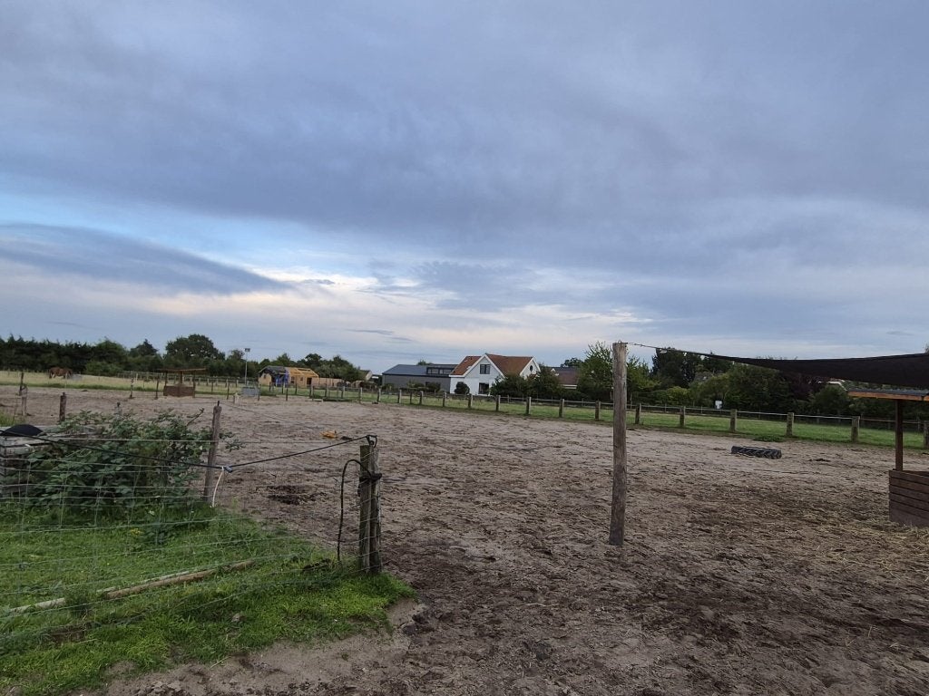 Stalling paard, Stalling, 2 of 3 paarden of pony's