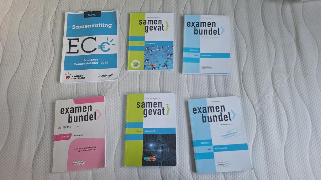 Havo (en vmbo) examenbundels en samengevat, Ophalen of Verzenden, Zo goed als nieuw, HAVO