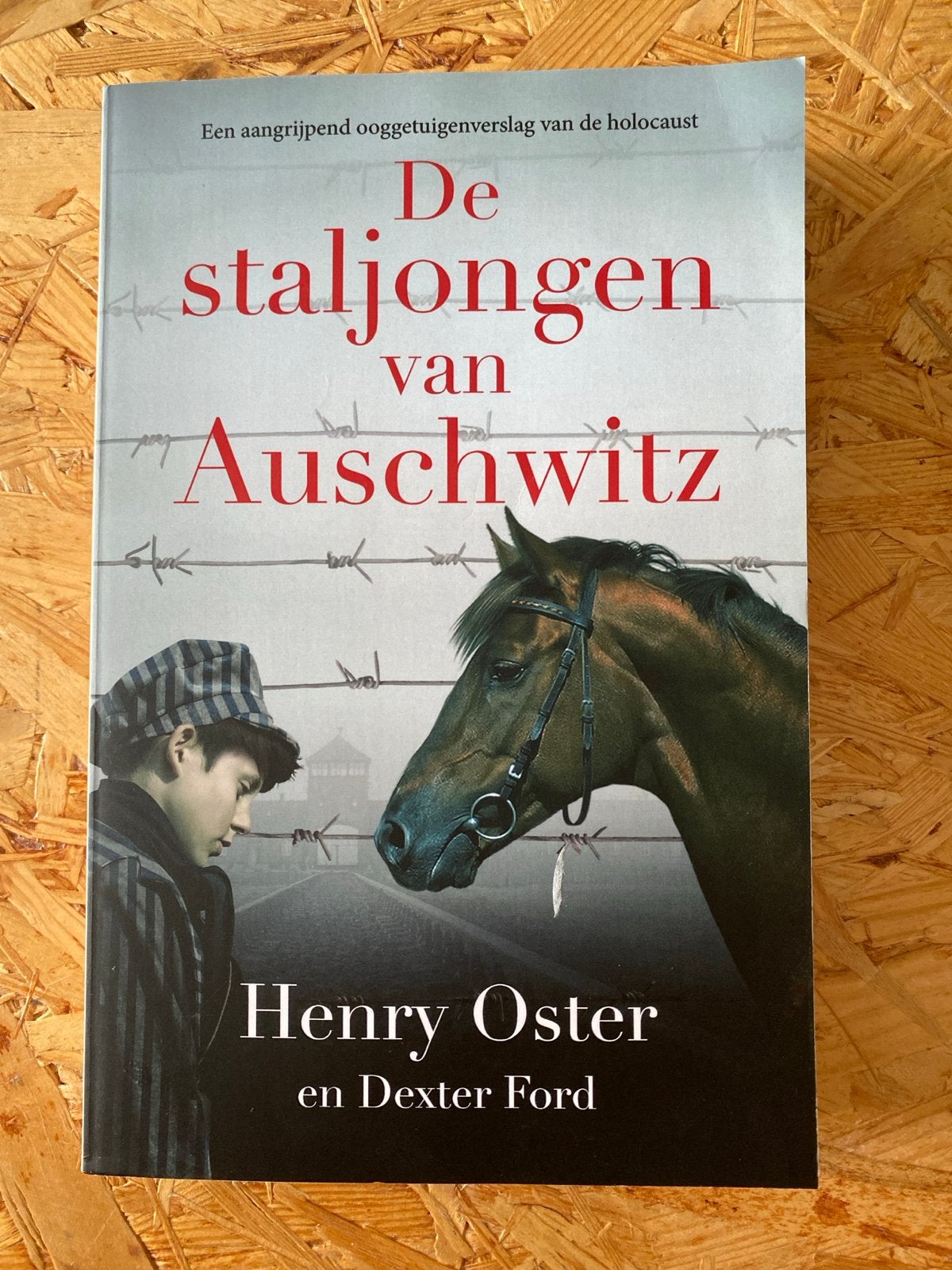 De staljongen van Auschwitz - Henry Oster, Ophalen of Verzenden, 20e eeuw of later, Zo goed als nieuw