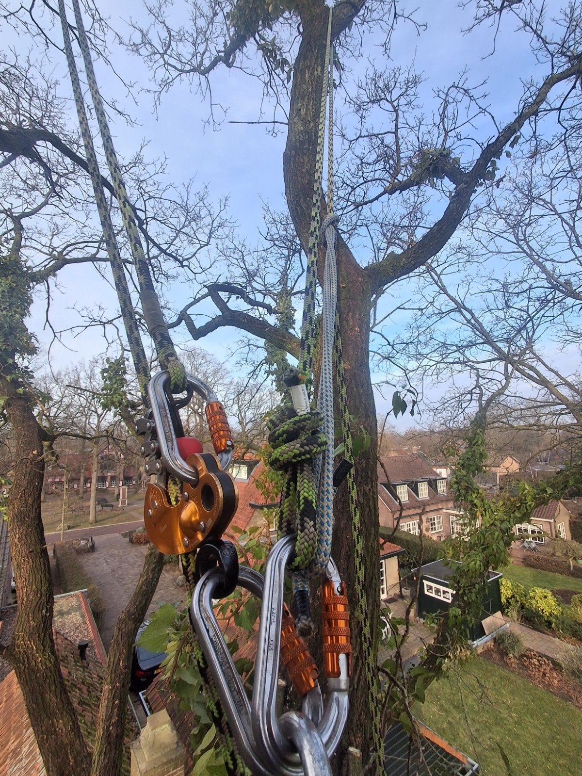 Boomverzorging/kappen/snoeien/tuinonderhoud/klein loonwerk, Diensten en Vakmensen, Tuinmannen en Stratenmakers, Tuinonderhoud of Snoeiwerk