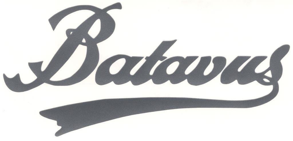 Batavus sticker #4, Ophalen of Verzenden
