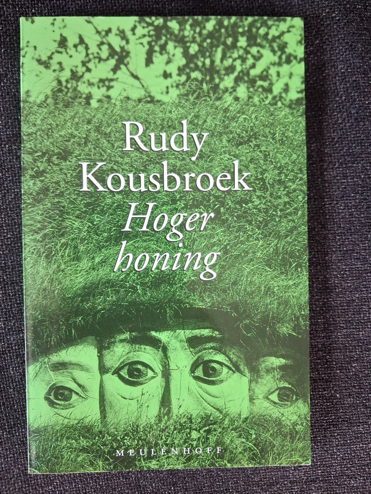 Rudy Kousbroek - Hoger honing, Boeken, Ophalen of Verzenden, Zo goed als nieuw, Rudy Kousbroek