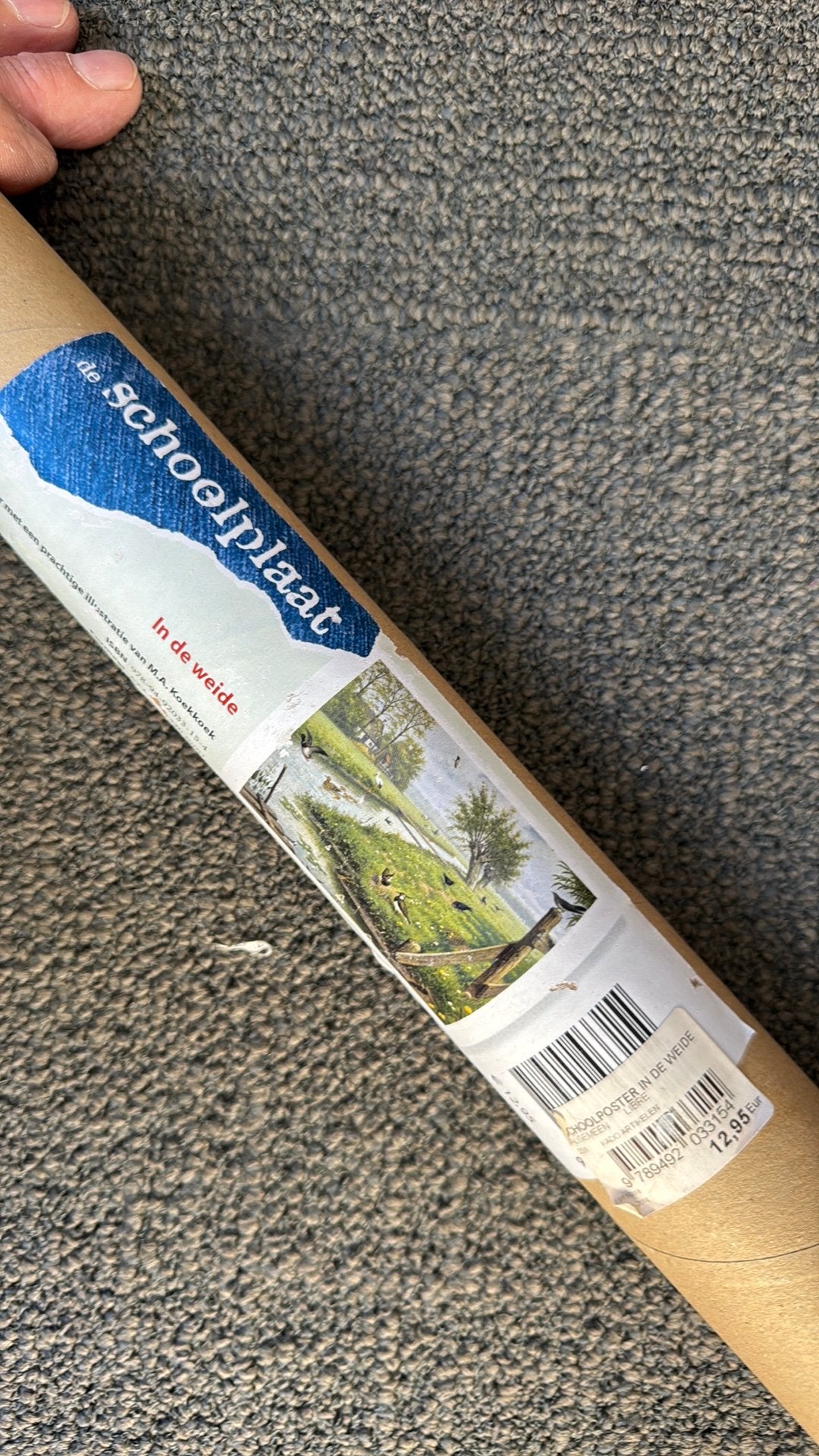 In de weide ( nieuw/ schoolplaat op fotopapier in koker ), Ophalen of Verzenden, Zo goed als nieuw