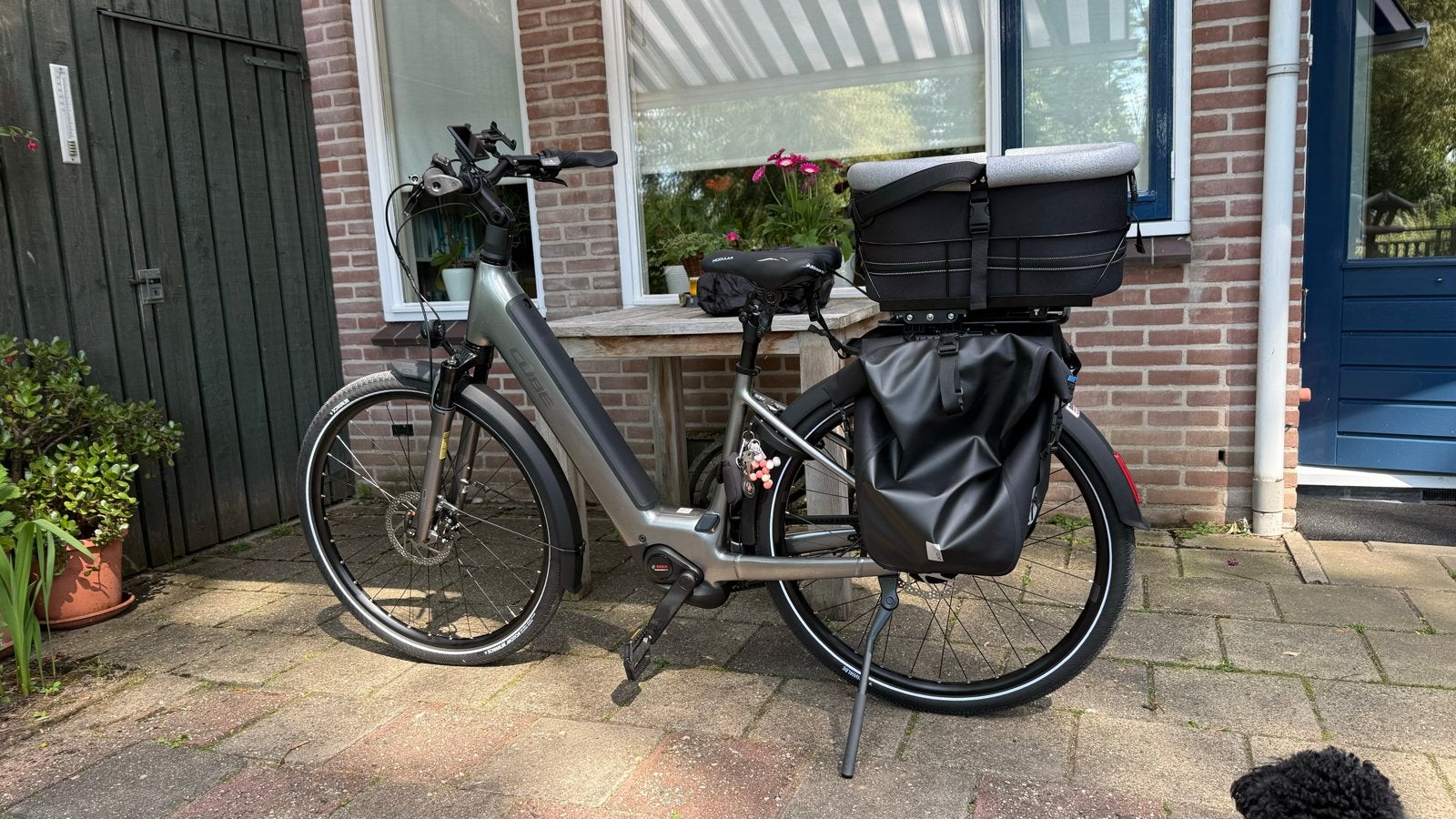 Trixie fietsmand hond kleine variant met gesp, Ophalen, Nieuw, Overige typen