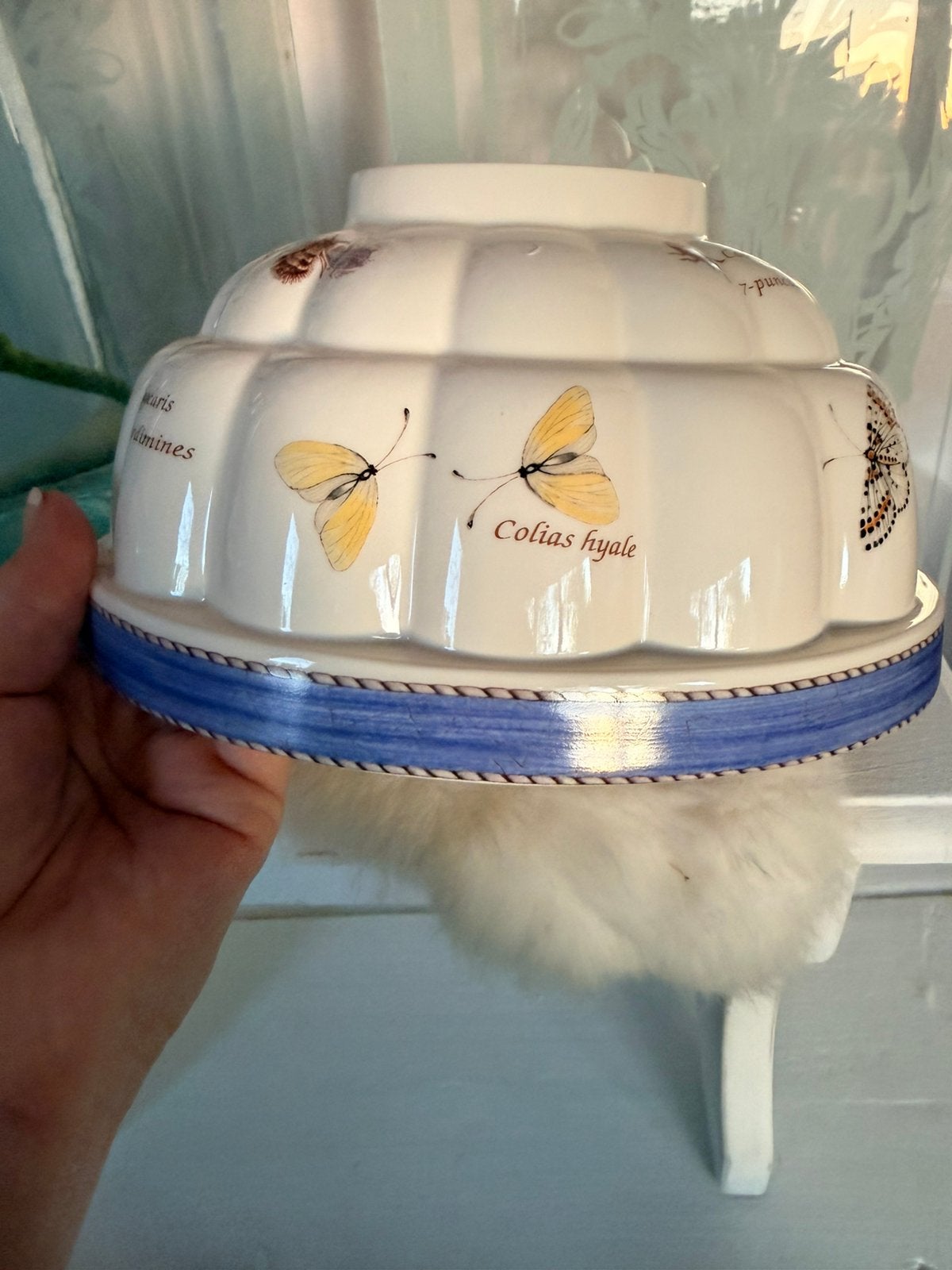 Sarah’s Garden  Wedgwood pudding vorm izgst zeer zeldzaam, Ophalen, Zo goed als nieuw, Porselein, Bord of Schaal