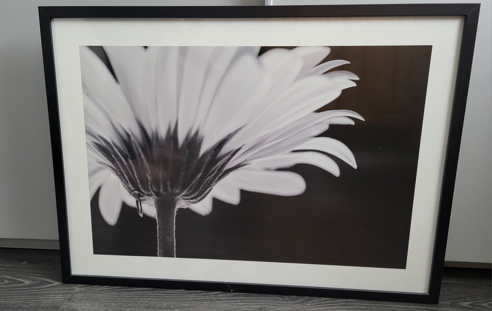 Fotolijst/schilderij 50x70 in perfecte staat, Ophalen, 50 – 75, Zo goed als nieuw, Foto of Poster
