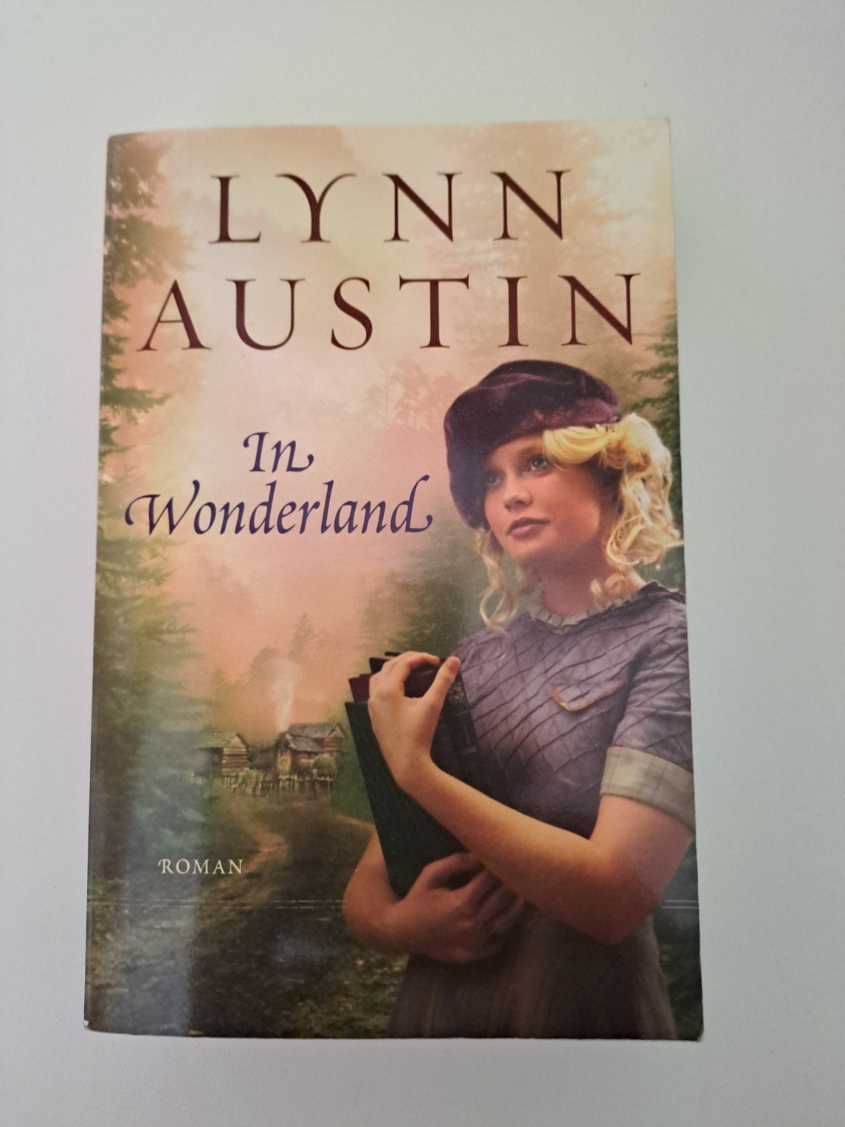 te koop prachtige roman van Lynn Austin, Ophalen of Verzenden, Zo goed als nieuw, Lynn Austin