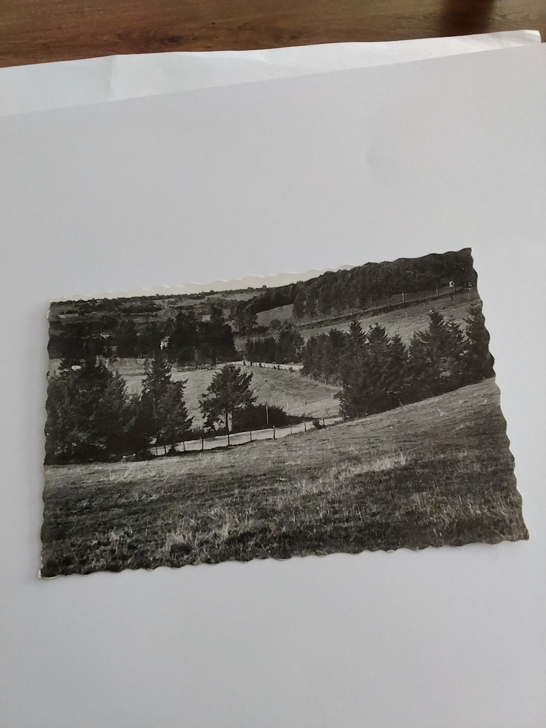 Oude ansichtkaart Slenaken "Klein Zwitserland" 1956, Ophalen of Verzenden, 1940 tot 1960, Gelopen, Limburg