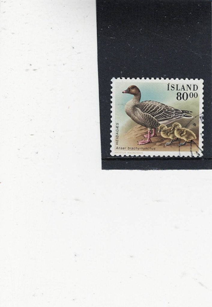 vogel ijsland, Ophalen of Verzenden, Gestempeld, Dier of Natuur